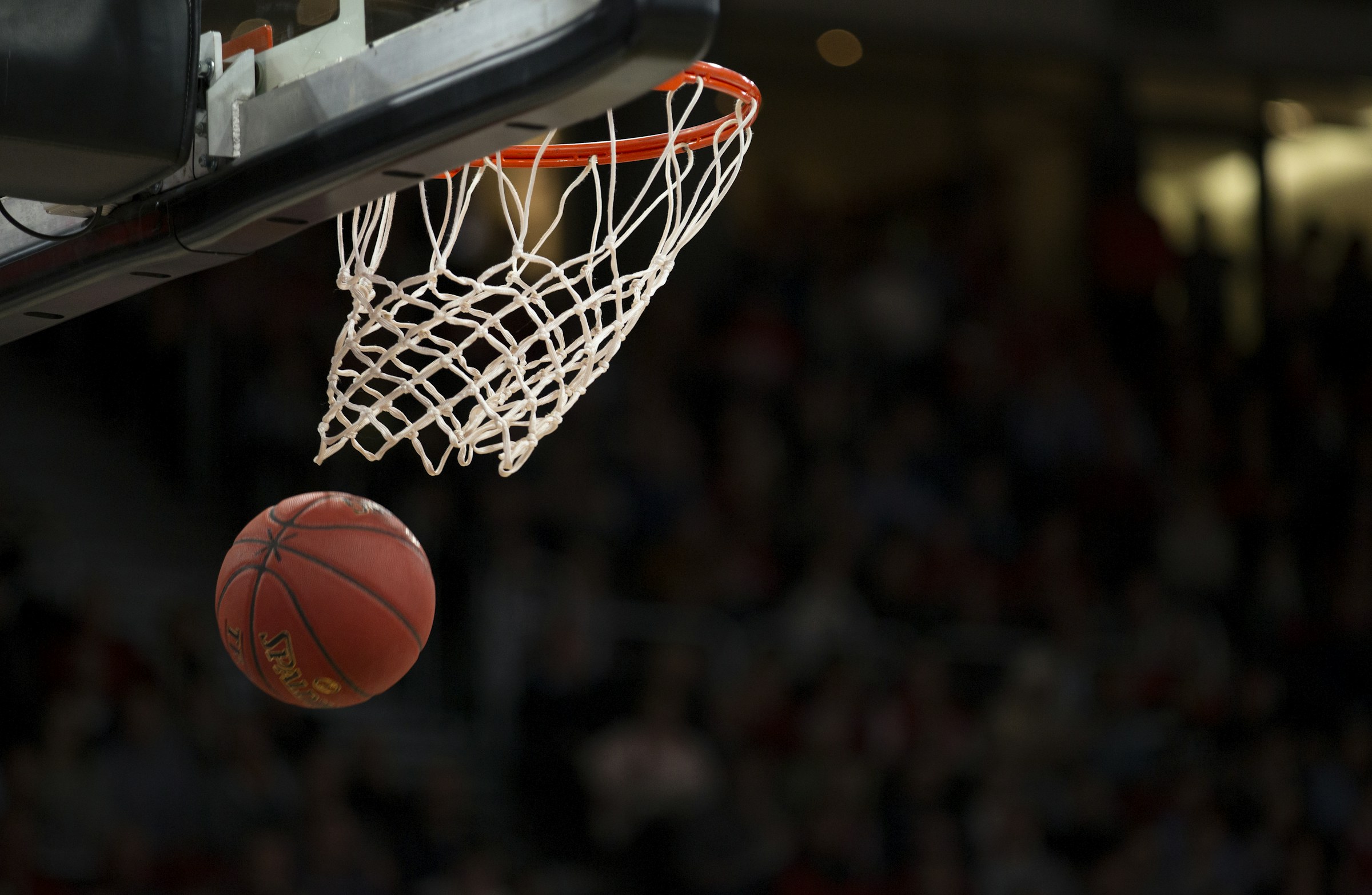 Sports Lighting & Fencing